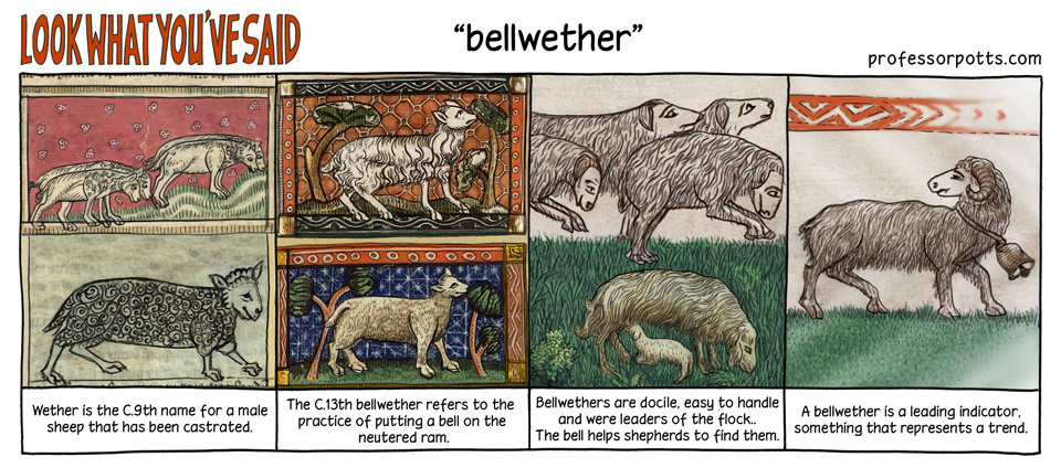 Bellwether idiom explained