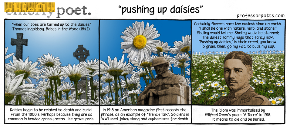 Pushing Up Daisies Professor Potts Aidan Potts