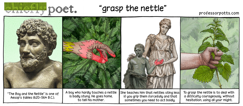 Grasp The Nettle Professor Potts Aidan Potts